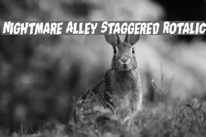Nightmare Alley Staggered Rotalic Font examples