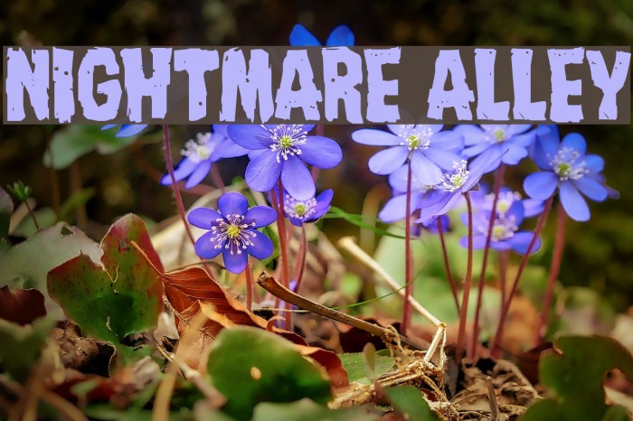 Nightmare Alley Font examples