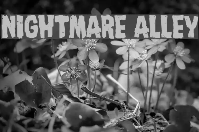 Nightmare Alley Example 1