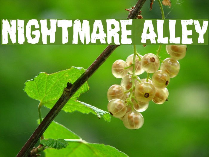 Nightmare Alley Font examples