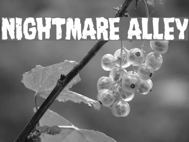 Nightmare Alley Example 2