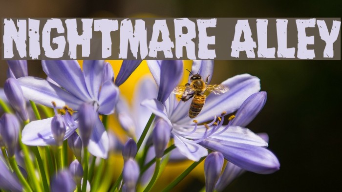 Nightmare Alley Font examples