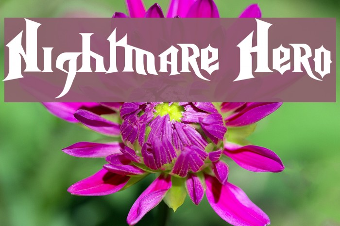 Nightmare Hero Шрифта examples