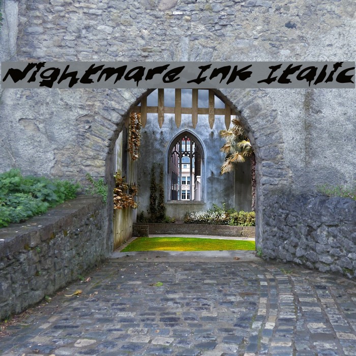 Nightmare Ink Italic Example 1