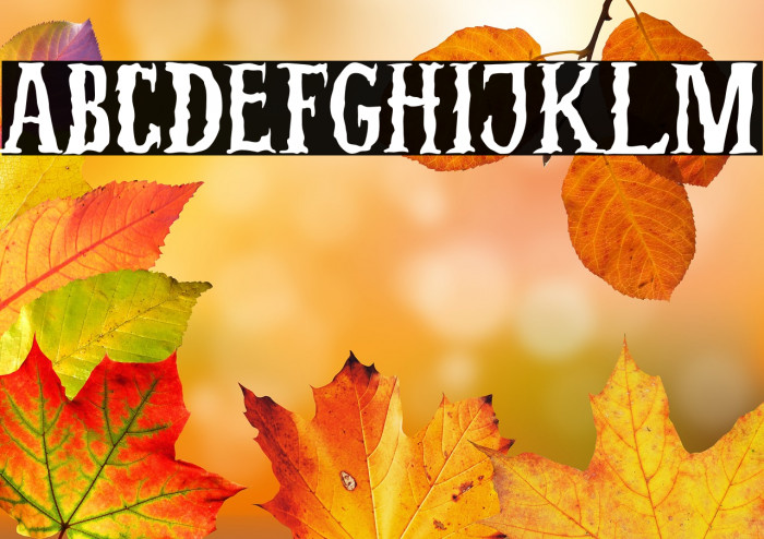 Nightmare Pumpkins Example 2