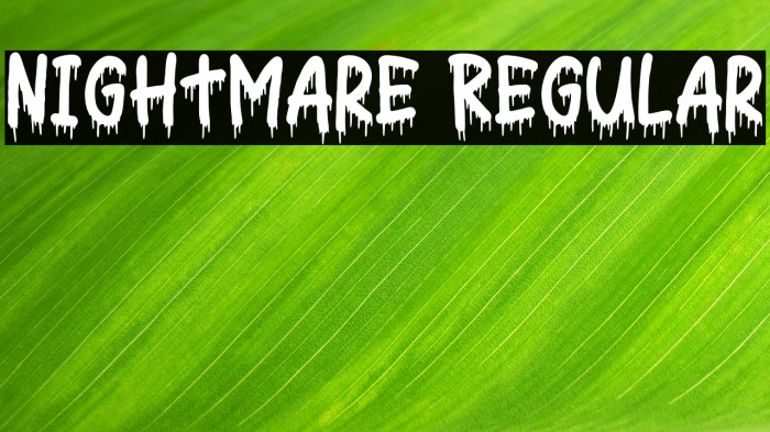 Nightmare Regular Example 2