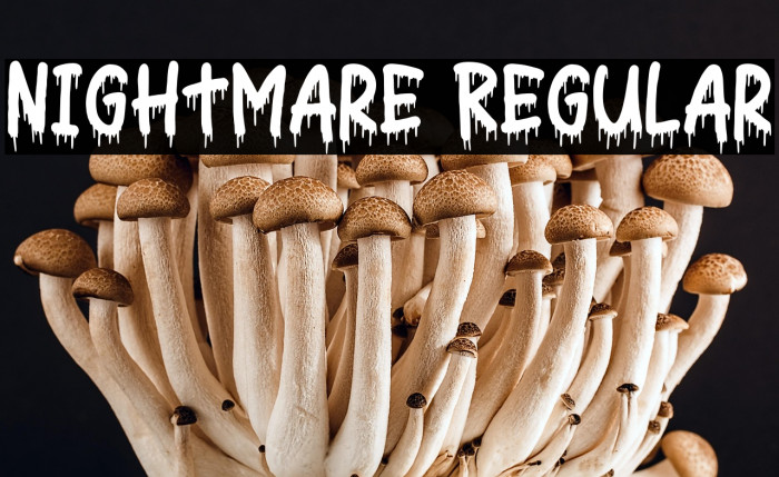 Nightmare Regular Example 3