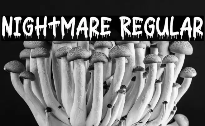 Nightmare Regular Font examples