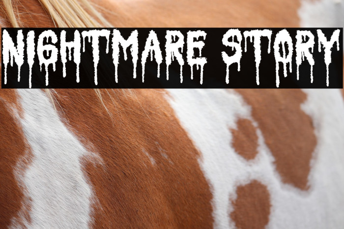 Nightmare Story Example 1