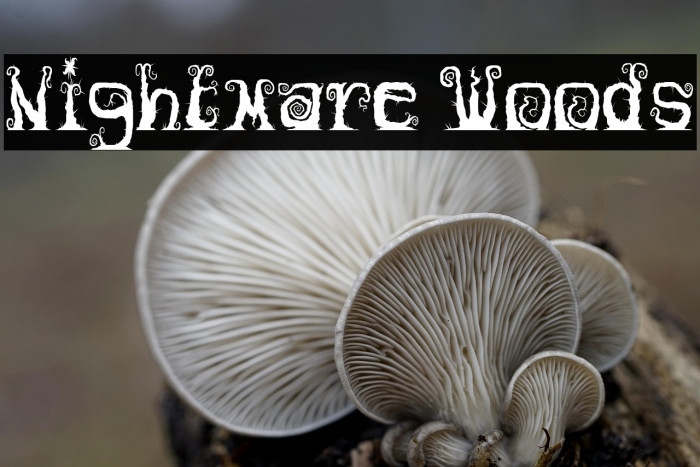 Nightmare Woods Example 1