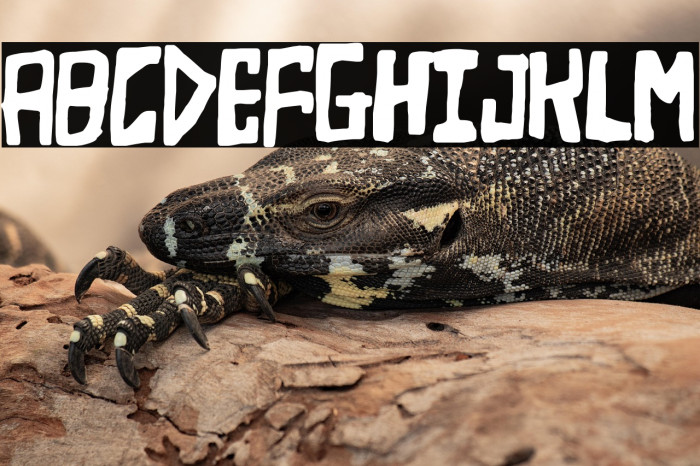 Nightmare at the Supermarket Example 2