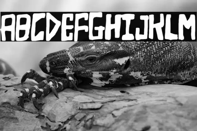 Nightmare at the Supermarket Fuentes examples