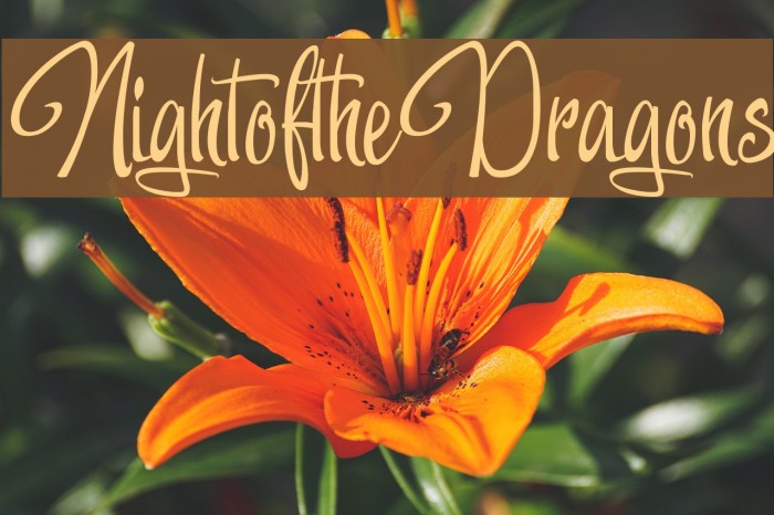 NightoftheDragons Example 2