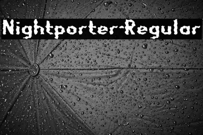 Nightporter-Regular Example 1
