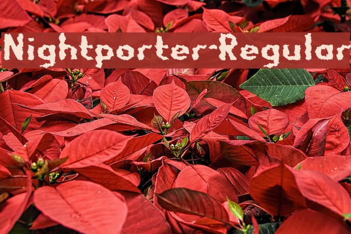 Nightporter-Regular Font examples
