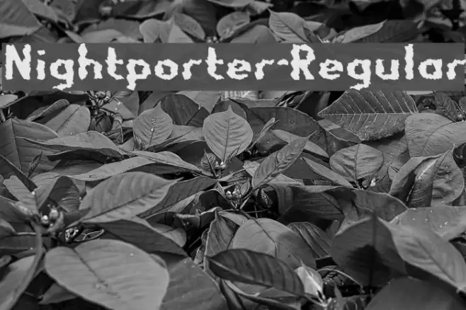 Nightporter-Regular Caratteri examples