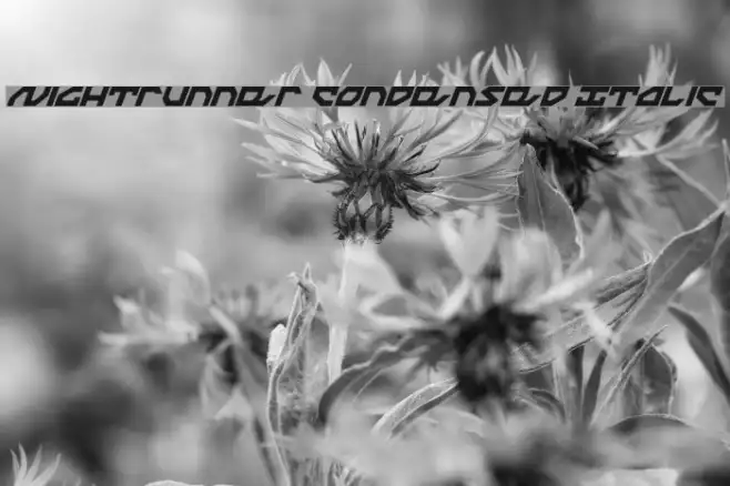 Nightrunner Condensed Italic Example 3