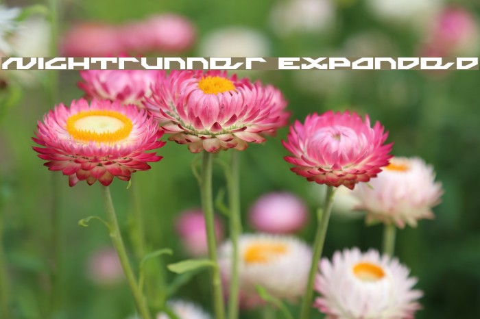 Nightrunner Expanded Font examples