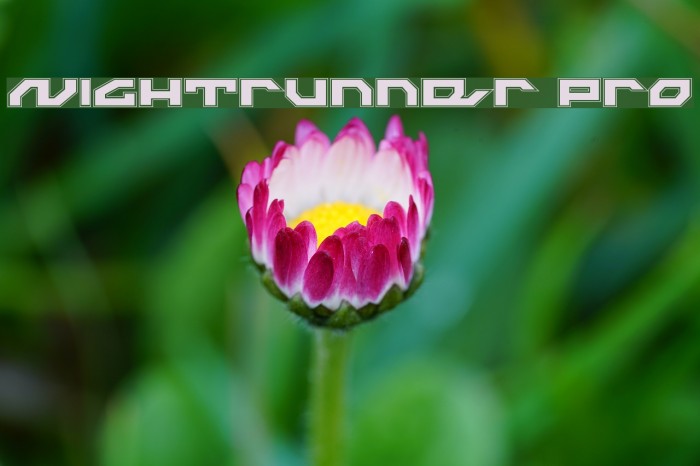 Nightrunner Pro Font examples