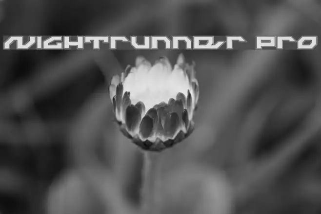 Nightrunner Pro Example 1