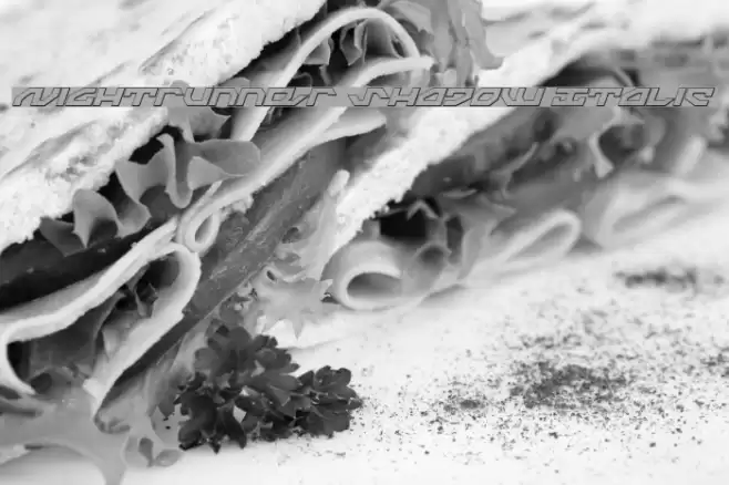 Nightrunner Shadow Italic Font examples