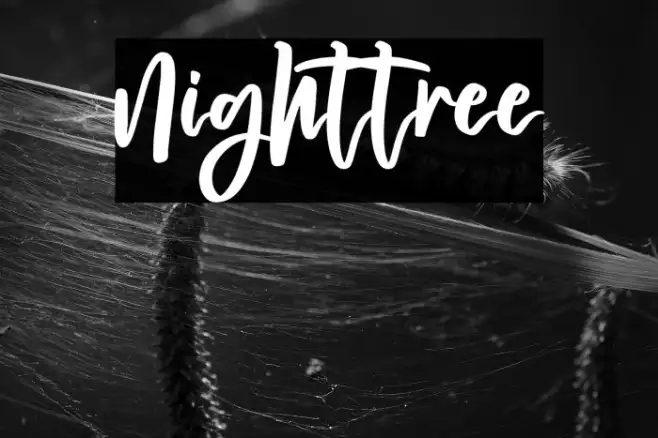 Nighttree Example 1