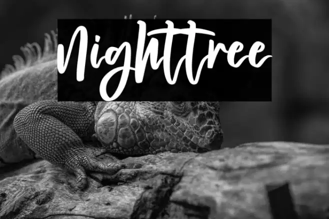 Nighttree Example 3