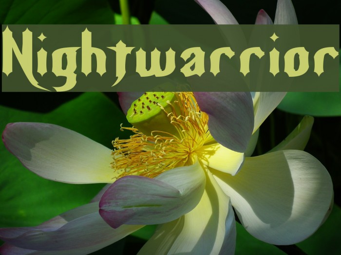 Nightwarrior Font examples