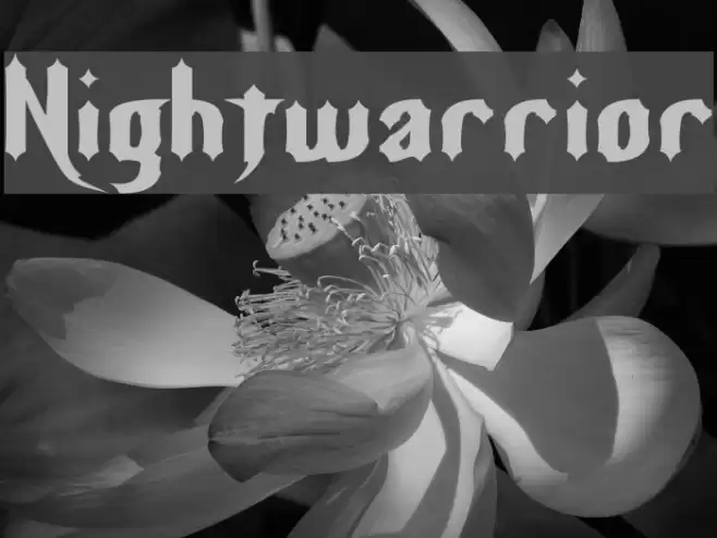 Nightwarrior Font examples