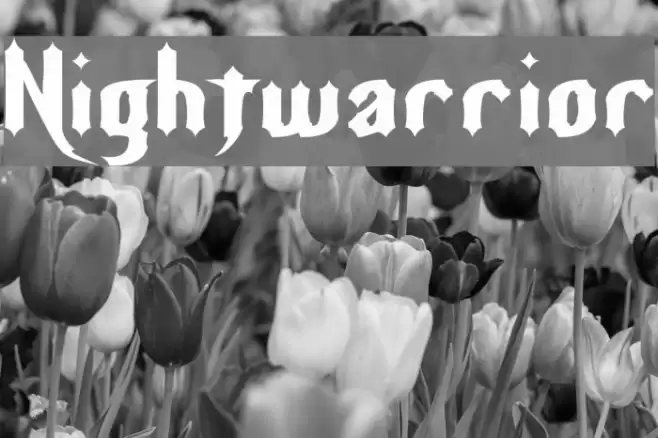 Nightwarrior Font examples
