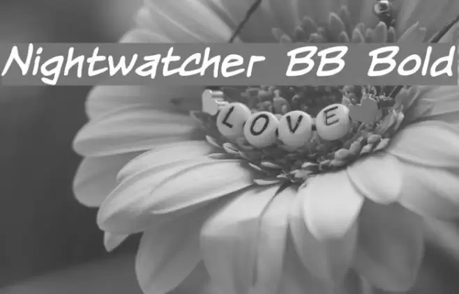 Nightwatcher BB Bold Font examples