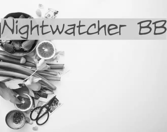 Nightwatcher BB Example 1
