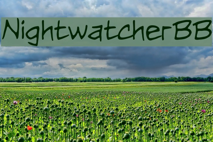 NightwatcherBB Font examples