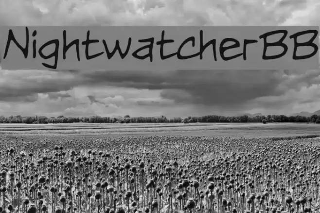 NightwatcherBB Font examples