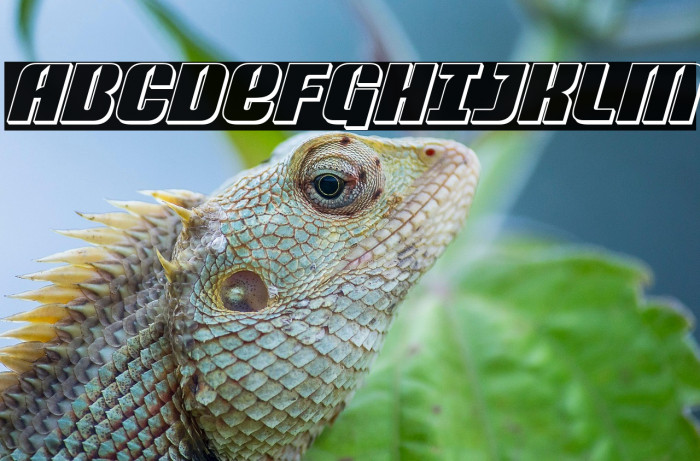 Nightwraith 3D Italic Example 2