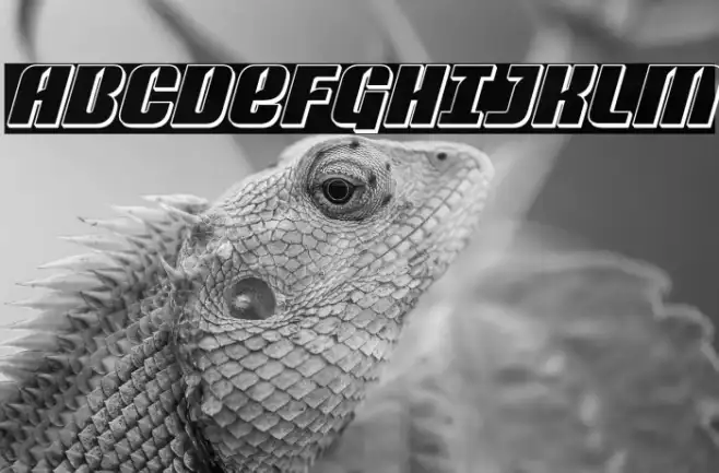 Nightwraith 3D Italic Example 2