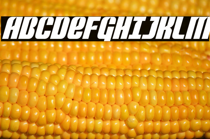 Nightwraith Condensed Italic Example 1