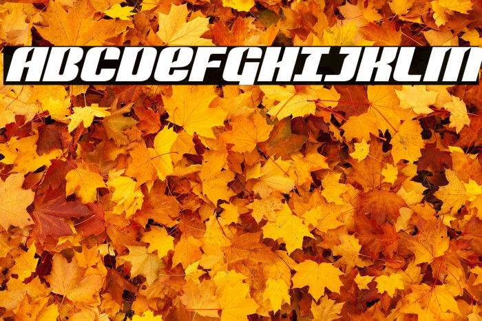 Nightwraith Expanded Italic Example 1