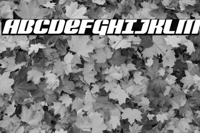 Nightwraith Expanded Italic Font examples