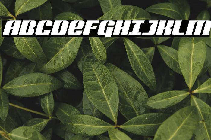 Nightwraith Expanded Italic Example 3