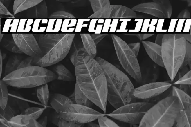 Nightwraith Expanded Italic Font examples