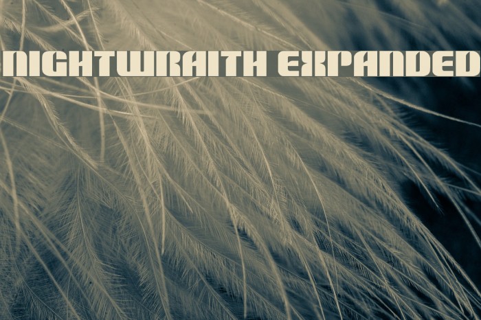 Nightwraith Expanded Font examples