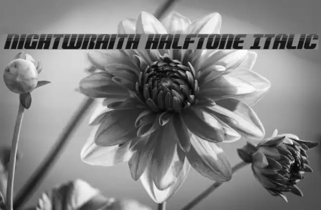 Nightwraith Halftone Italic Font examples