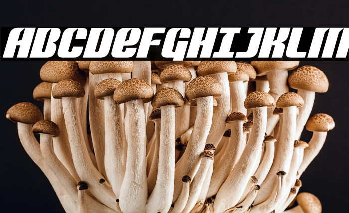 Nightwraith Italic Example 2