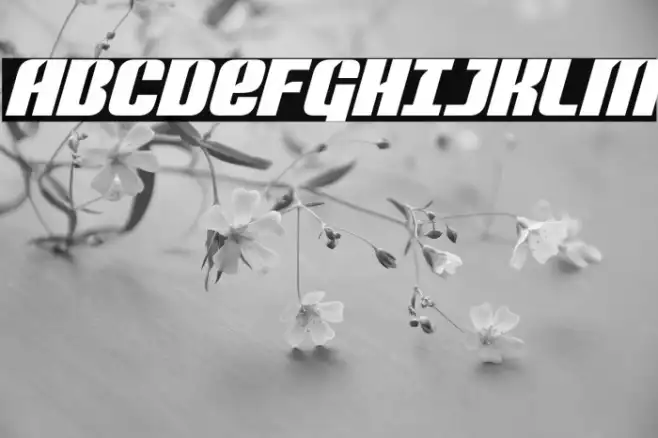 Nightwraith Italic Example 3