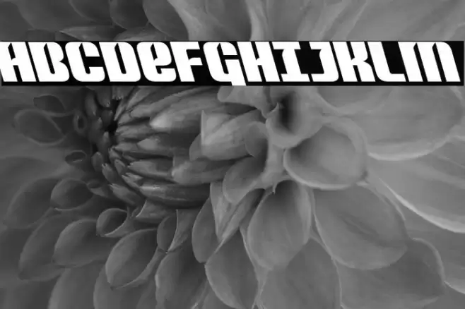 Nightwraith Leftalic Font examples