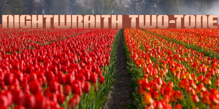 Nightwraith Two-Tone Example 2