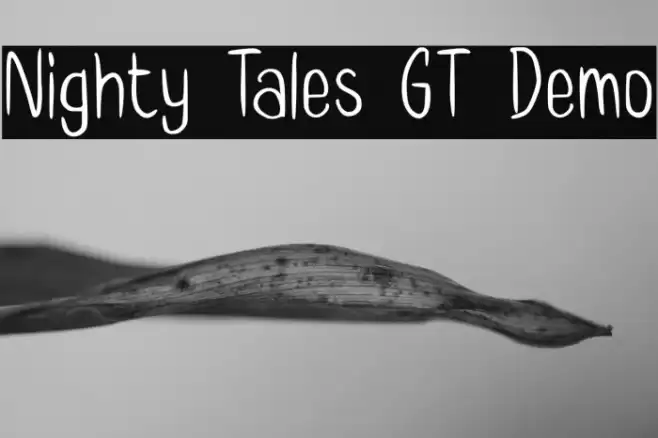 Nighty Tales GT Demo Font examples