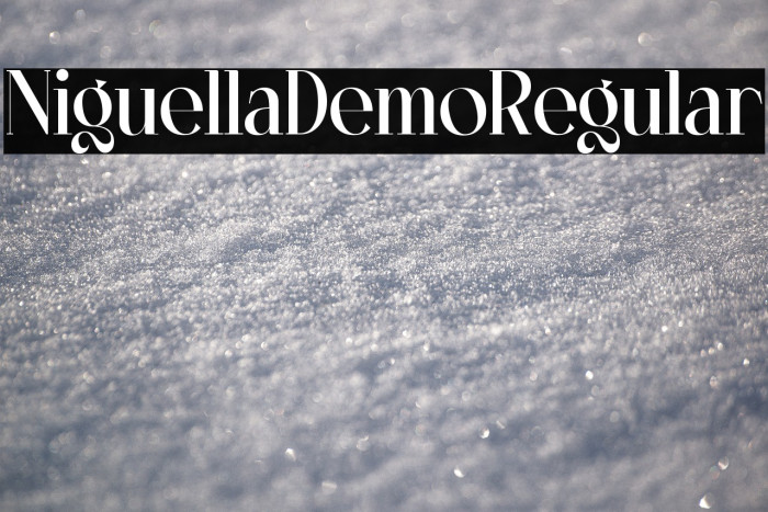 NiguellaDemo-Regular Example 2