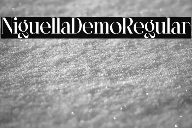 NiguellaDemo-Regular Example 2